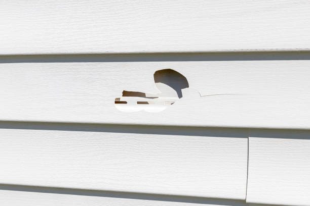 Best Shed Removal  in Inglis, FL